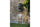 Virasat Outdoor Bar Sets 2 Chairs and 1 Table Patio Bar Set (Pearl White)-VIRASAT FURNITURE & FURNISHING