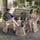 VIRASAT FURNITURE Outdoor Rope 3-Piece Patio Set (Beige & Off-White)