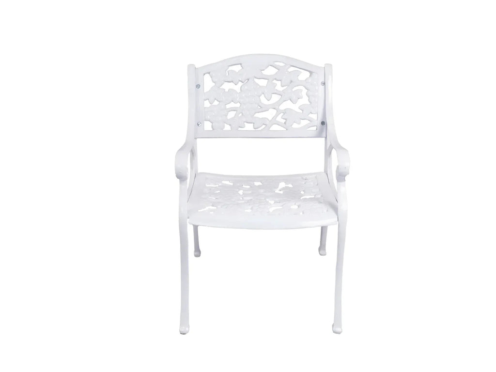 Virasat Cast Aluminium Garden Patio Seating 2 Chair and 1 Table Set-VIRASAT FURNITURE & FURNISHING