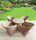 Virasat Outdoor Patio Seating Set 4 Chairs and 1 Table Set (Cream)-VIRASAT FURNITURE & FURNISHING