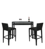 Virasat Outdoor Patio Bar Sets 2 Chairs and 1 Table Black-VIRASAT FURNITURE & FURNISHING