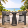 Virasat Outdoor Patio Bar Set 2 Chairs and 1 Table Set