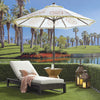 Virasat Outdoor Swimming Poolside Lounger Brown-VIRASAT FURNITURE & FURNISHING