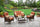Virasat Outdoor Sofa Set 2 Seater, 2 Single Seater and 1 Center Table (Dark Brown)-VIRASAT FURNITURE & FURNISHING
