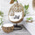 Virasat Single Seater Hanging Swing With Stand For Balcony, Garden (Tan)-VIRASAT FURNITURE & FURNISHING