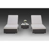 Virasat Outdoor Swimming Poolside Lounger Set of 2 Dark Brown-VIRASAT FURNITURE & FURNISHING